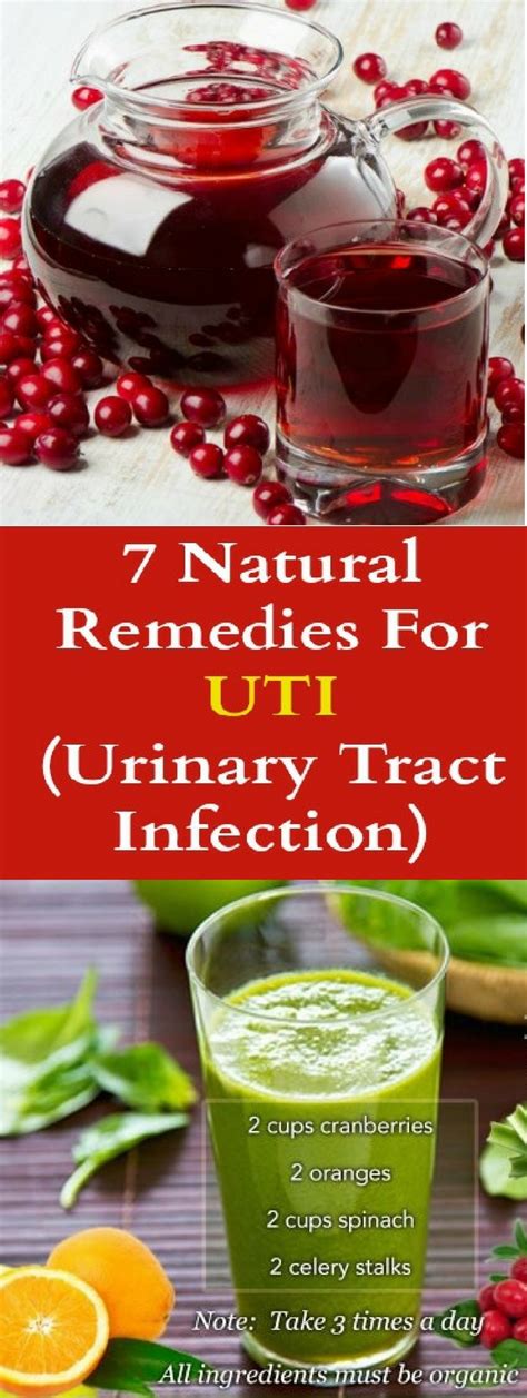 The Healing Power of Witch Hazel: A Promising Solution for Urinary Tract Infections